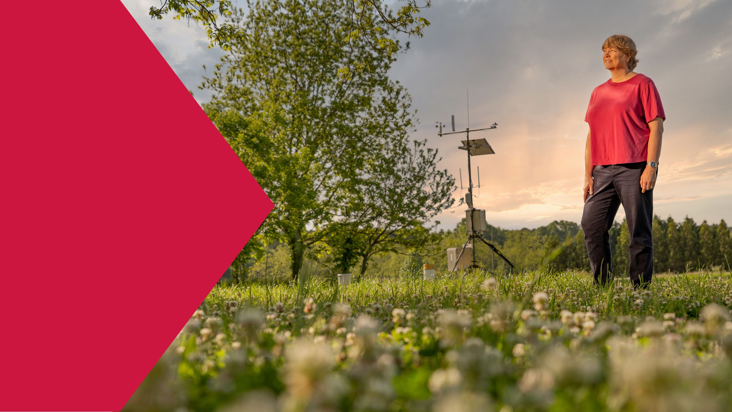 Pam Knox stands in a field of clover. A weather station with an antennae, solar panel and anemometer is in the background.