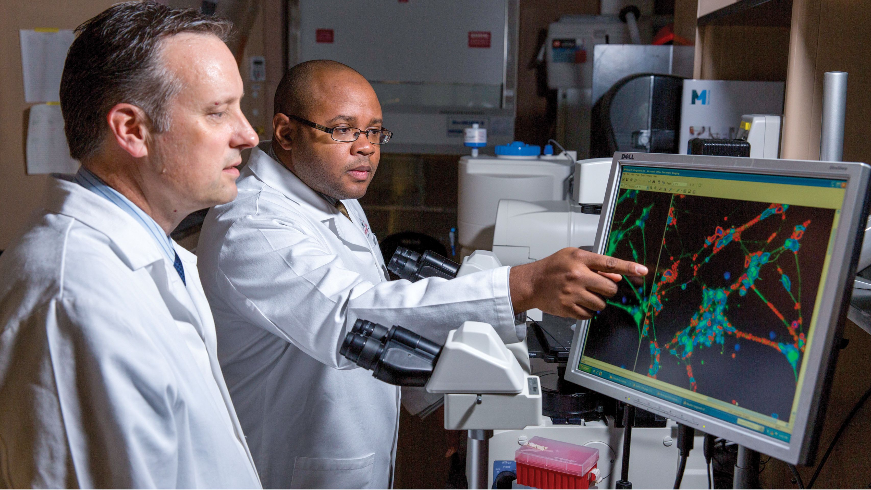 Researchers in a lab view a microscopy image on a computer.