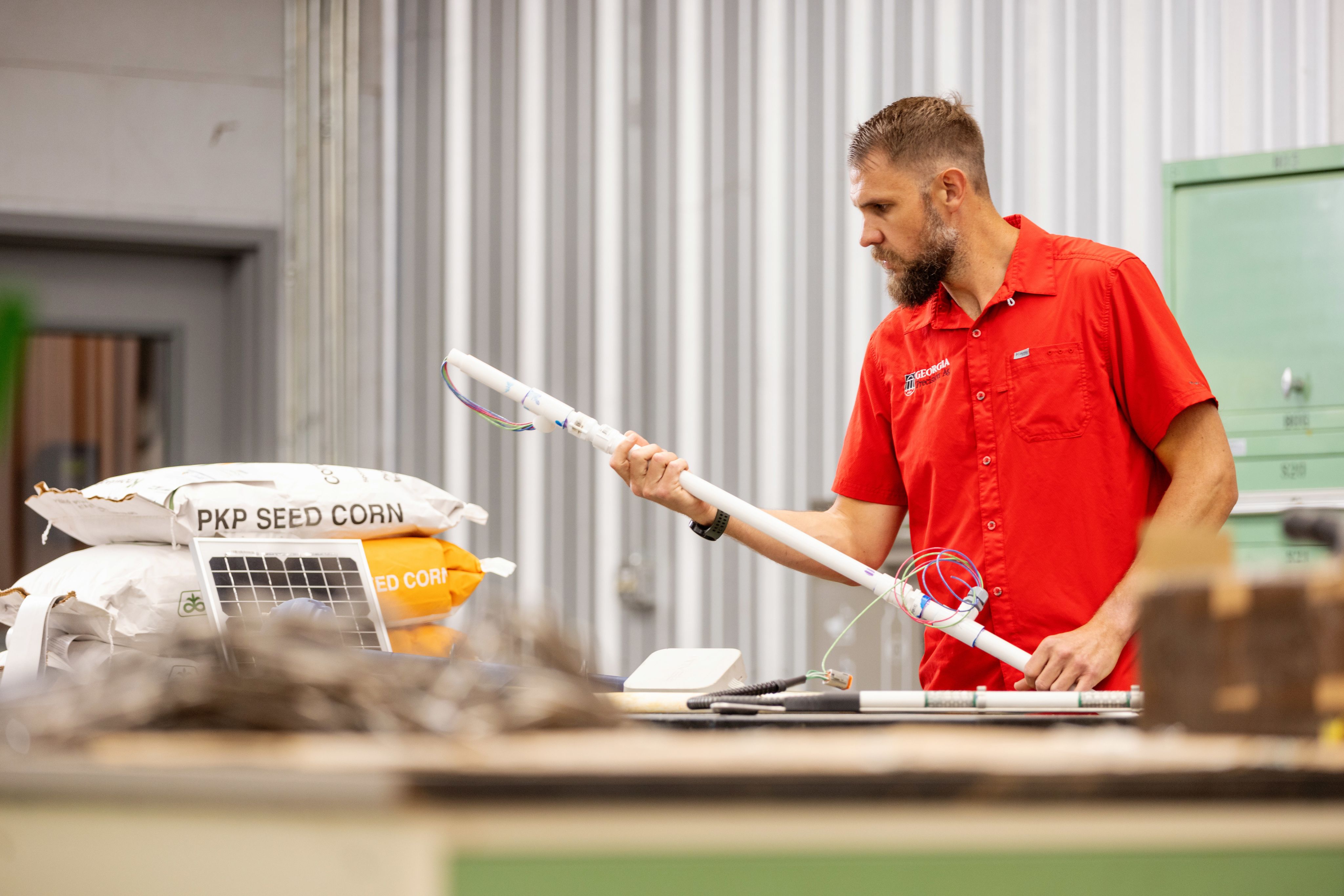 Agricultural worker in red shirt examining seed corn packages with sampling probe.