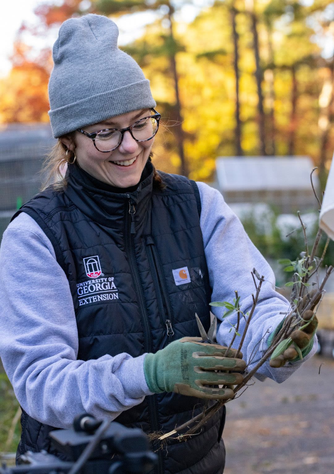 An individual in a UGA Extension vest holding a branch.