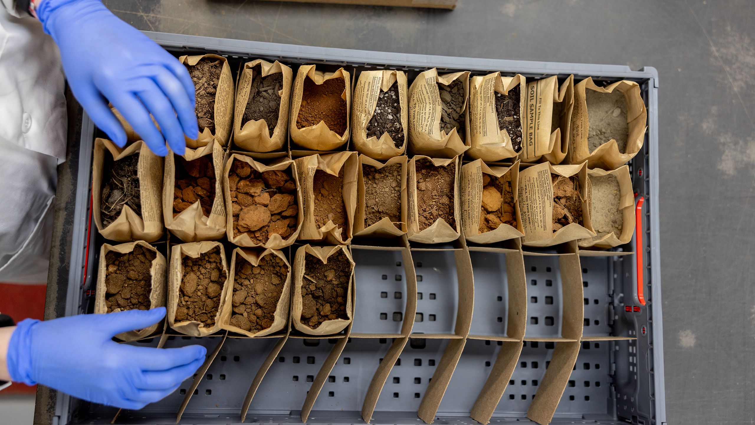 Overhead view of a tray of open paper soil bags. The soil ranges in color from rust to ochre to black.