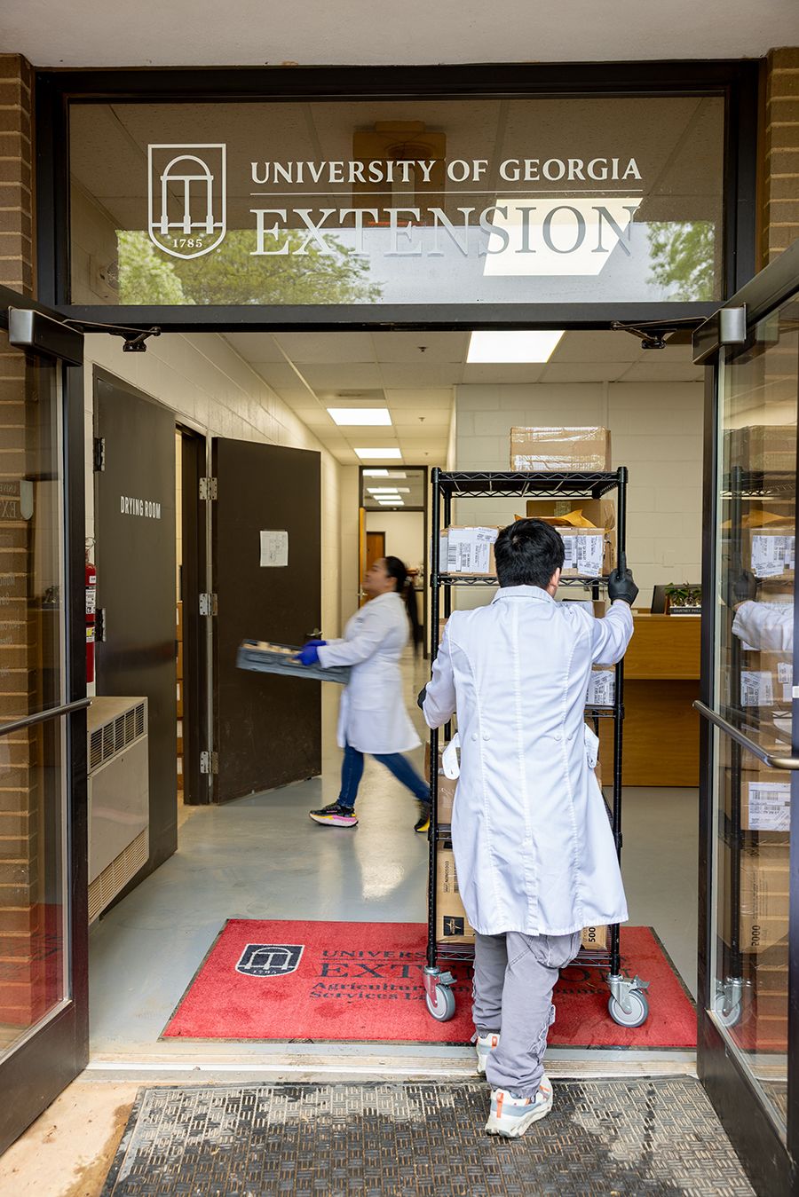 A man pushes a large steel rolling cart into a building. The sign above the glass doors is the University of Georgia Extension logo. Inside the building, a woman walks quickly, carrying a tray of test samples. 