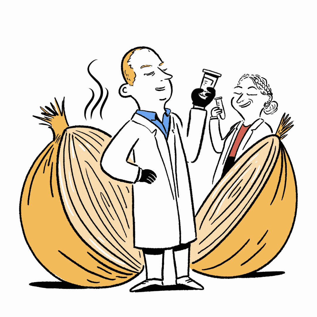 Animated cartoon of two lab professionals looking at test tubes amid a giant, split onion. Their eyes are watering as the onion offgases.