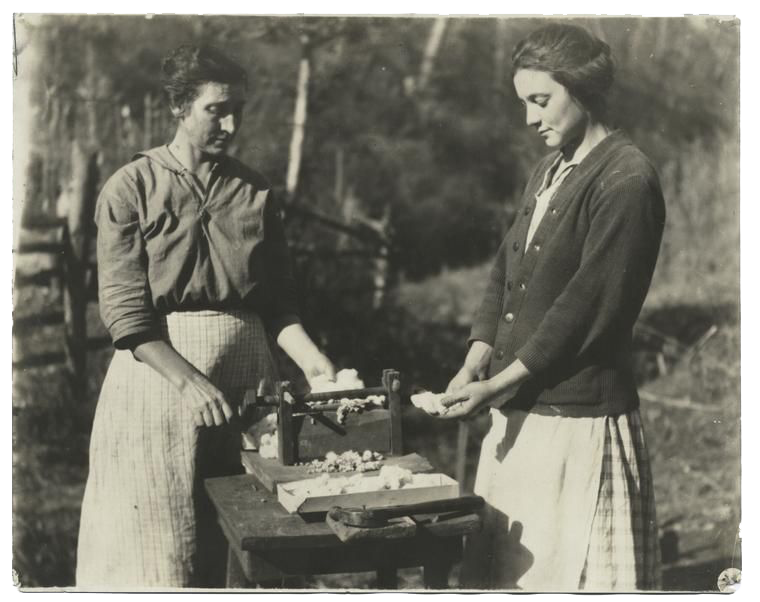 Two women process cotton with a hand-cranked machine; one feeds it in, the other collects the fibers.