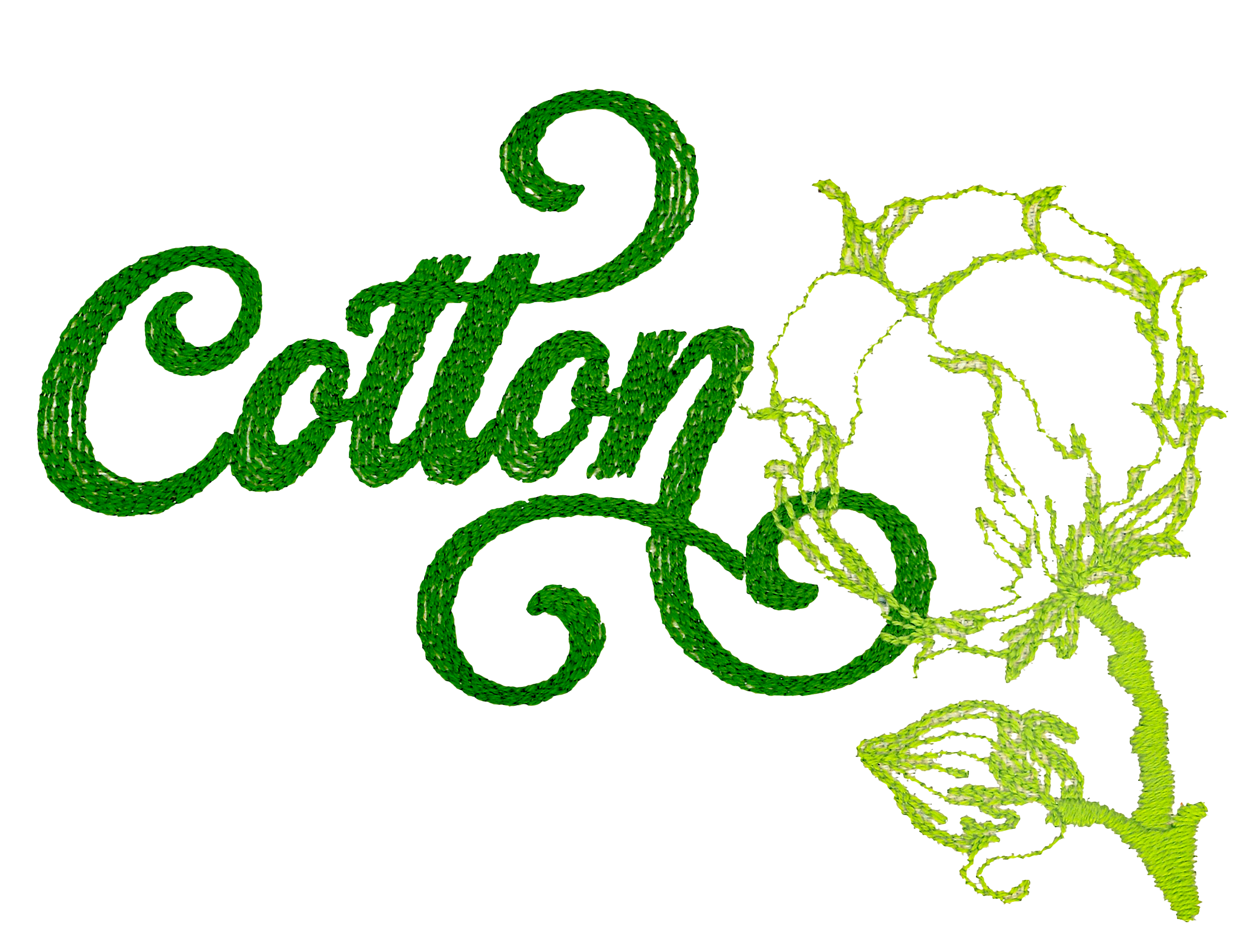 Green embroidered text "Cotton" with a stylized cotton boll and leaf design.