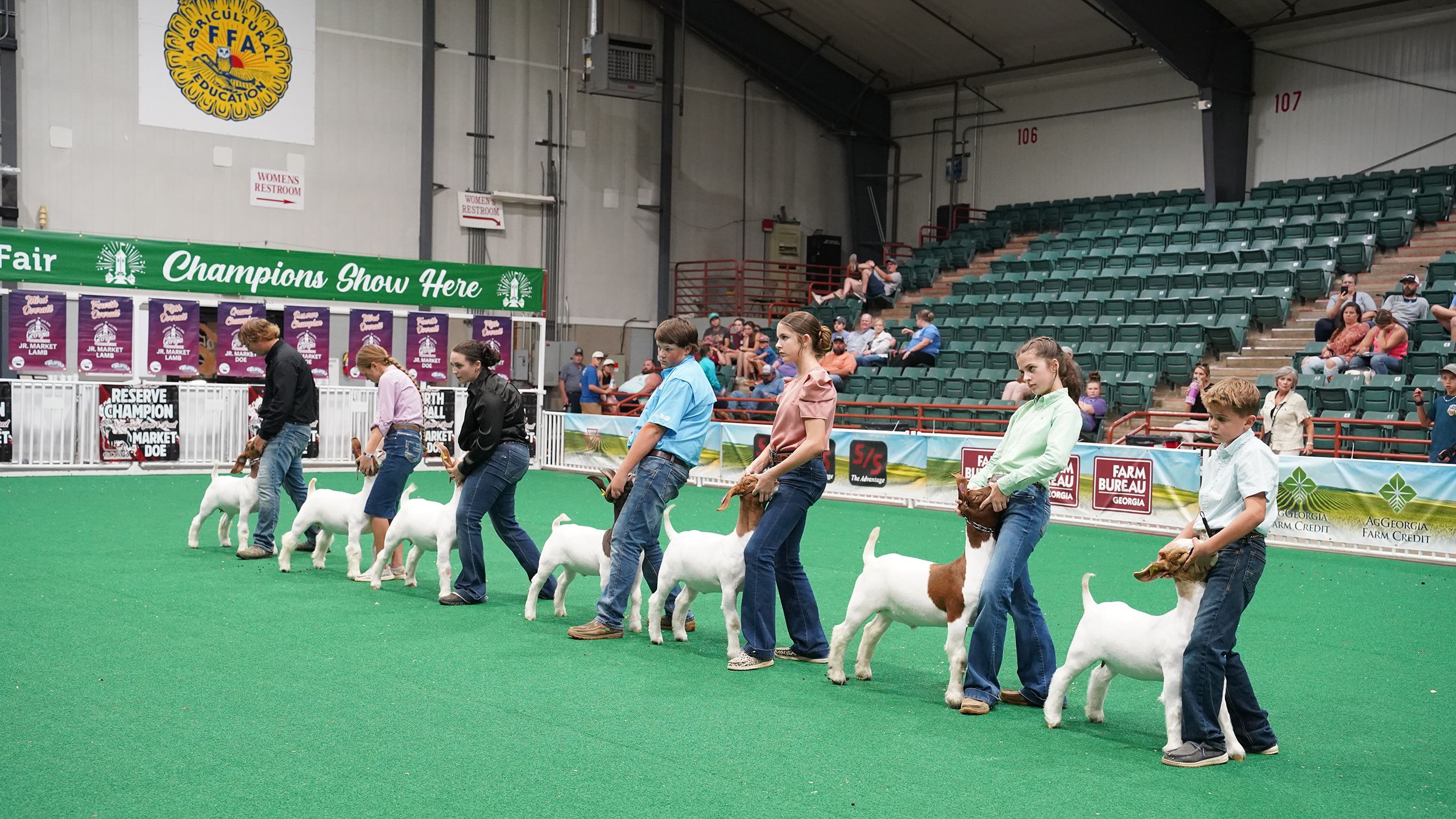 Senior 4-H'ers participate in goat showmanship.