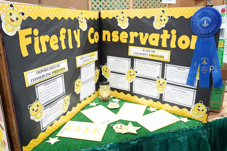 A mini booth exhibit at the fair about firefly conservation.