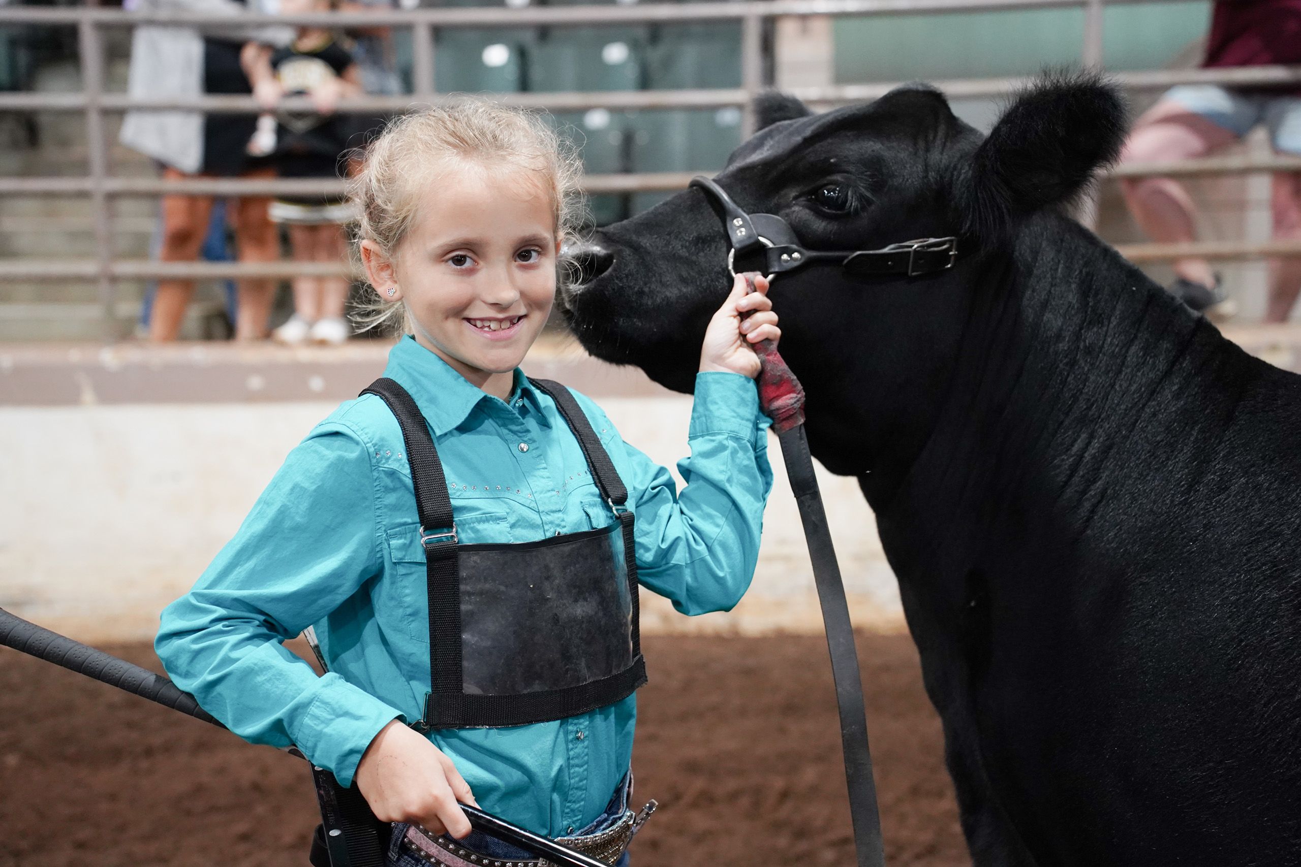 A young 4-H'er in a blue shirt smiles broadly as she leads her show cow during a competition. 