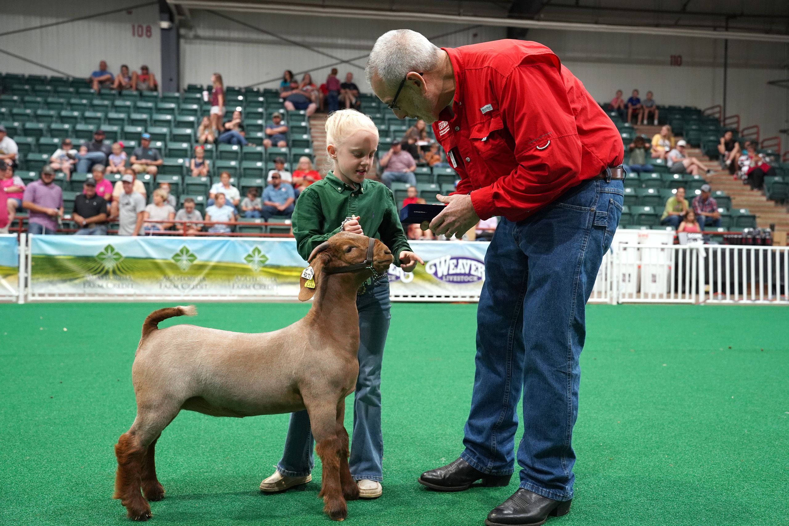 CAES Dean and Director Nick Place presents an award to a 4-H'er who placed for goat showmanship. 