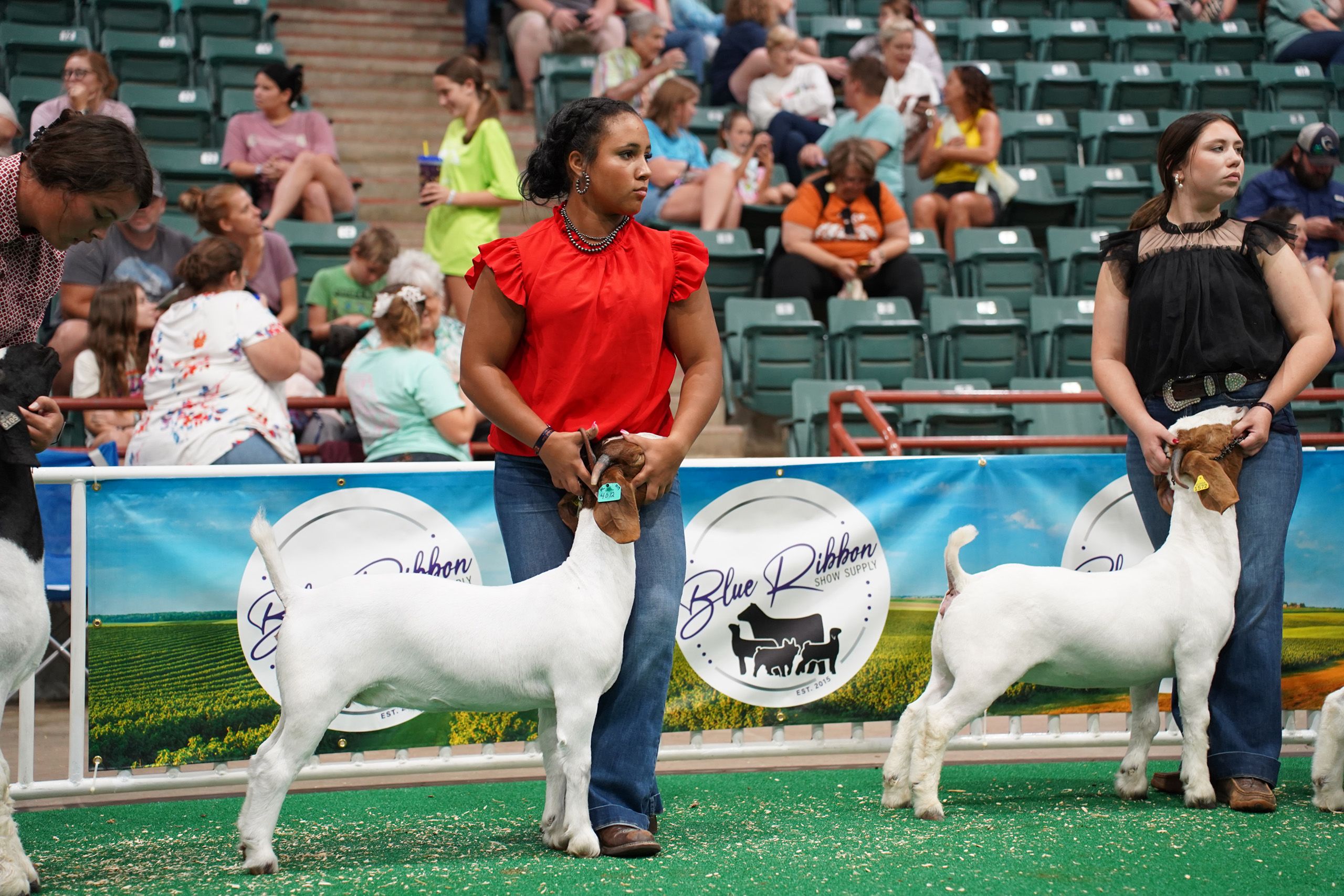 Senior 4-H'ers participate in a goat show at the Georgia National Fair. 