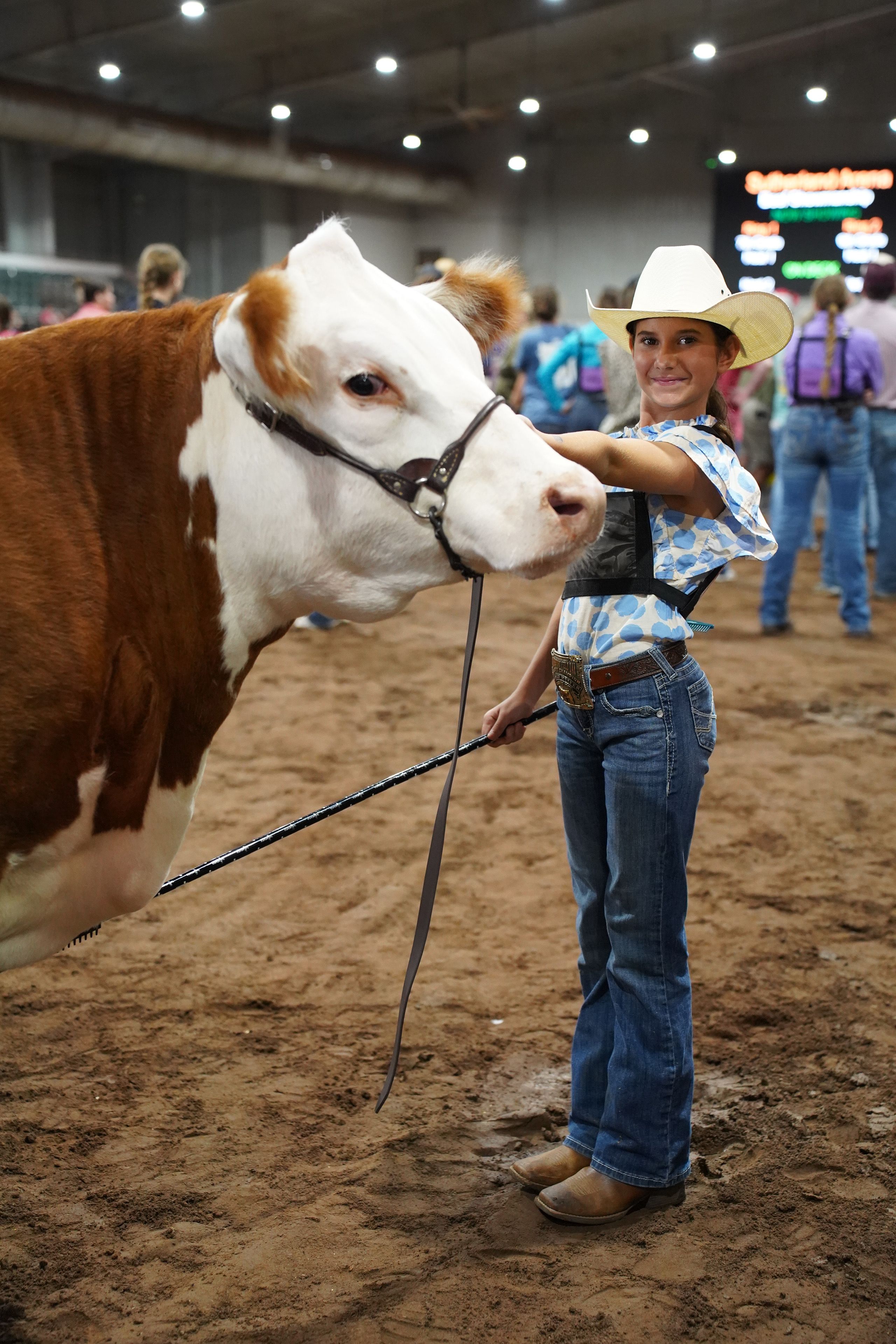 A 4-H'er in a white straw cowboy hat and a blue polka dot shirt smiles as she holds the reins of her show cow.