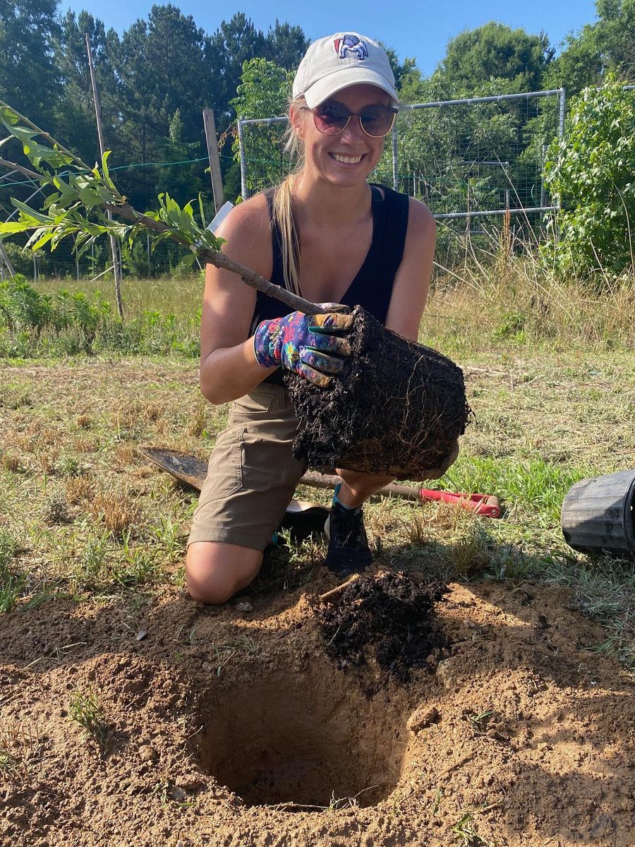 Kristin Gibson wears gloves, a hat and sunglasses and holds the root ball of a tree on a sunny day.