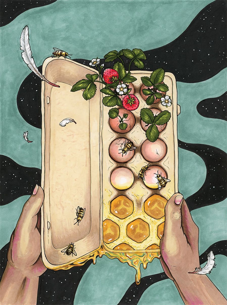 A person holds a carton of eggs with the bottom replaced by honeycomb and strawberries growing around the top eggs