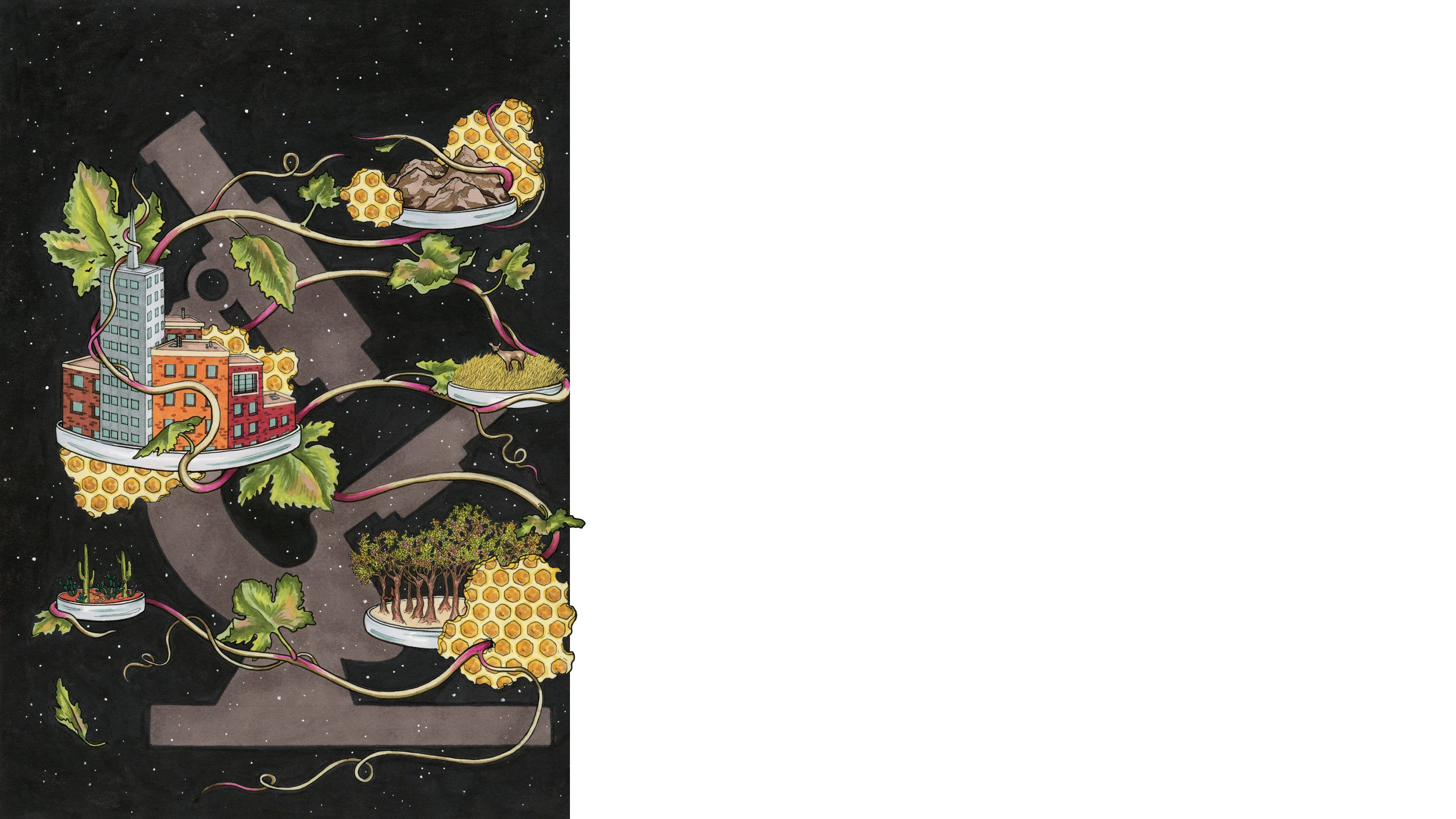 A silhouette of a microscope forms the background behind vines and honeycomb connecting illustrations of various habitats and a city block.