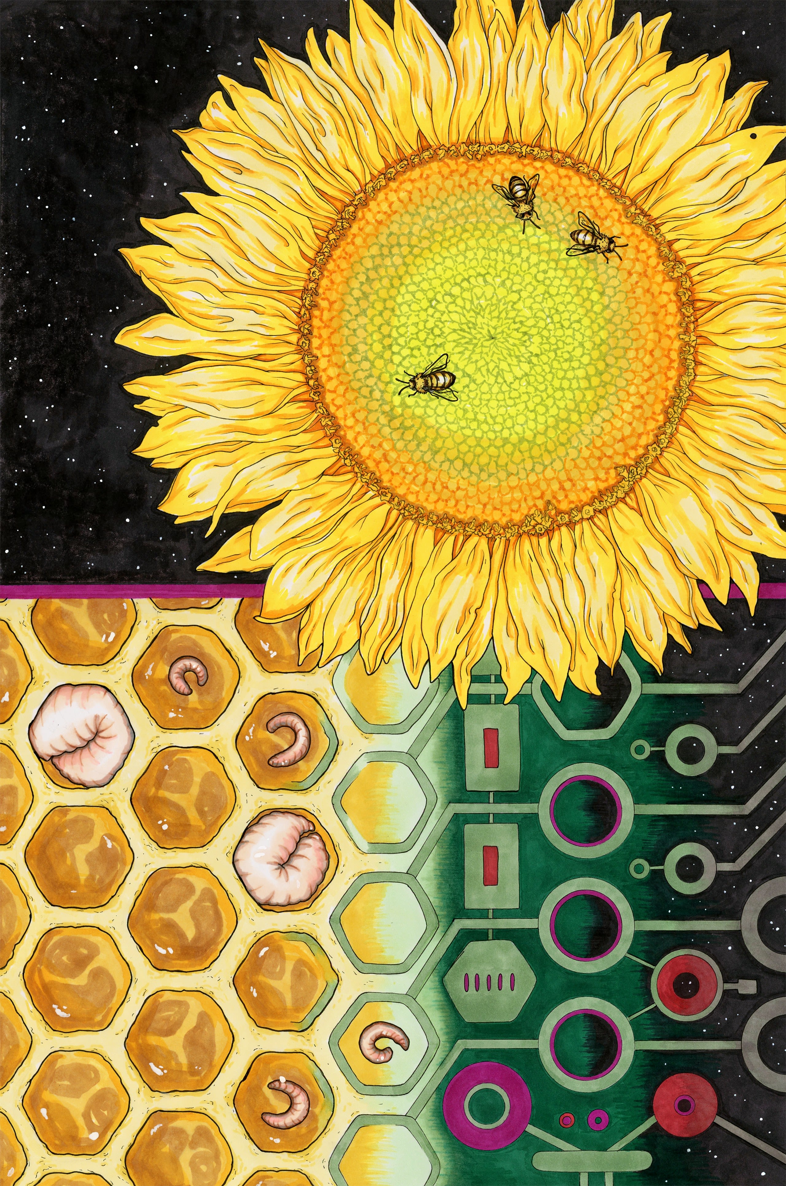 Cover illustration showing bees on a sunflower above a honeycomb with bee larvae in some of the cells, fading into a circuit board design.