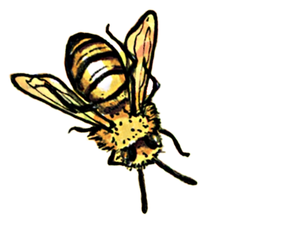 Honeybee