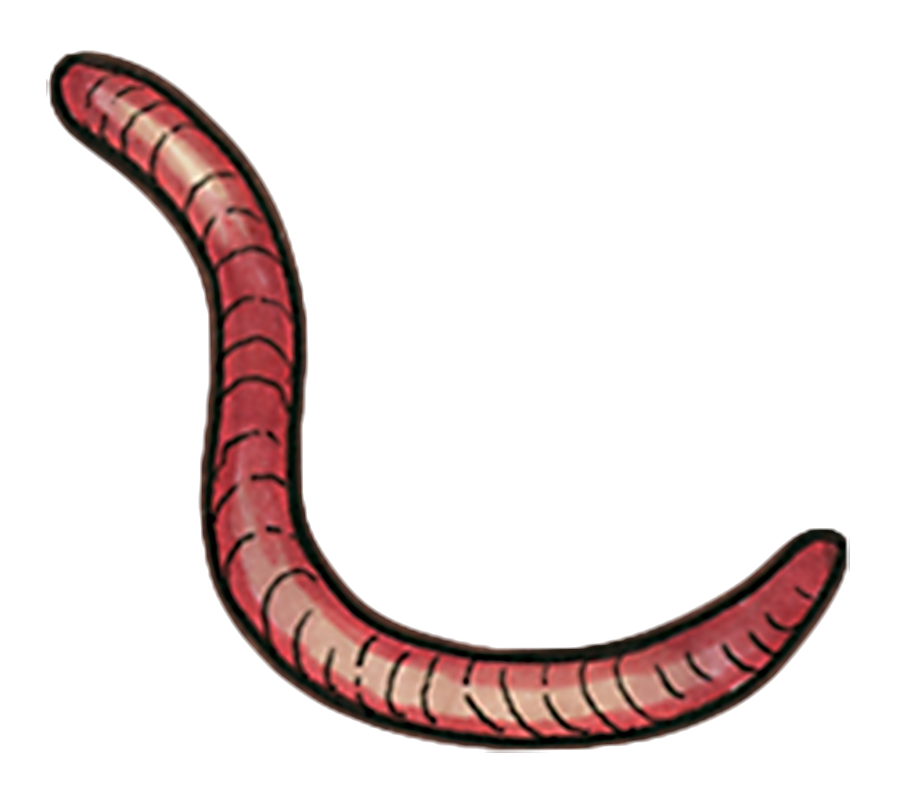 Earthworm