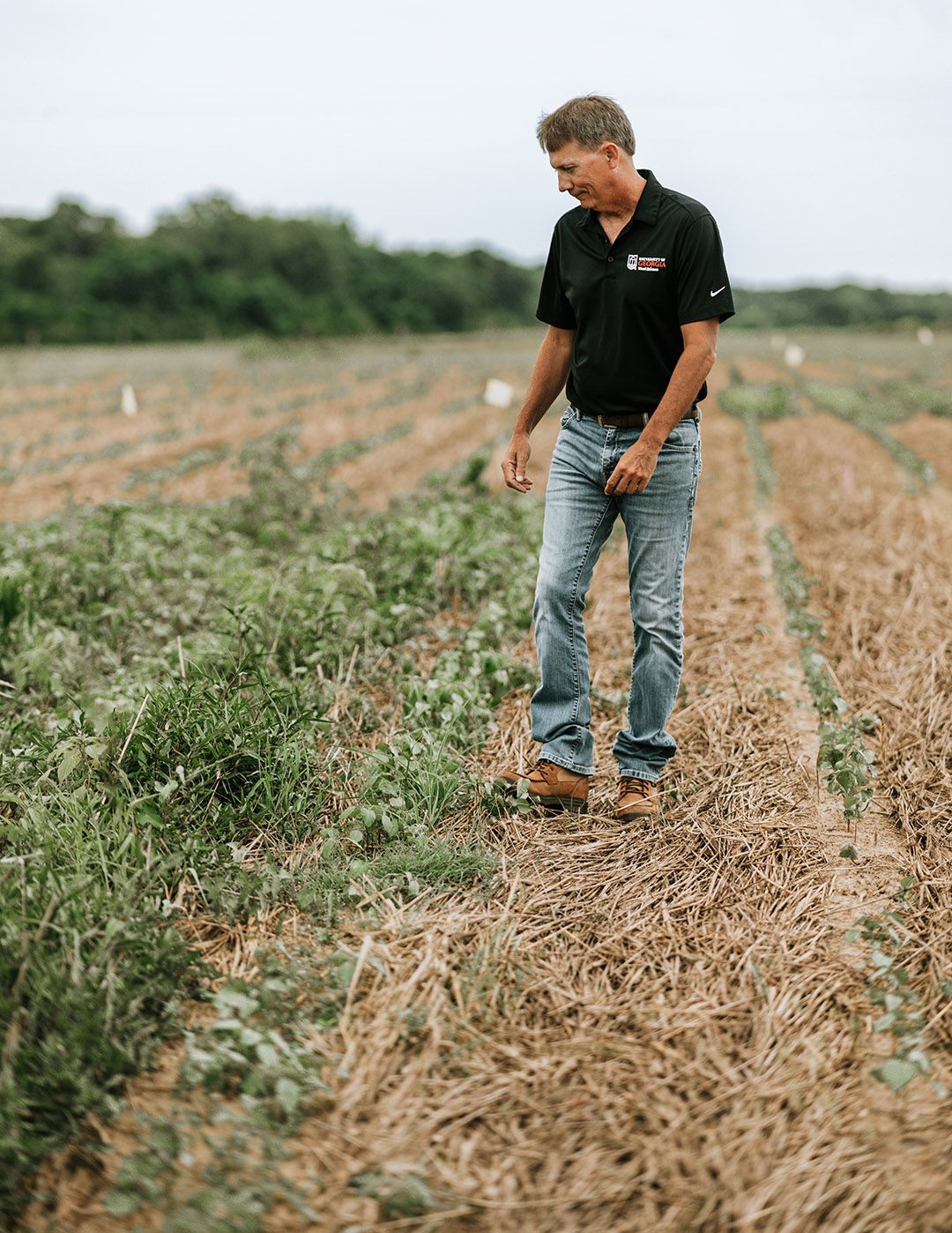 A man walking through a field covered in weeds