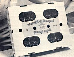 Black-and-white photo of a box labeled "rabbiteye blueberries" and "Georgia grown" that is full of blueberries