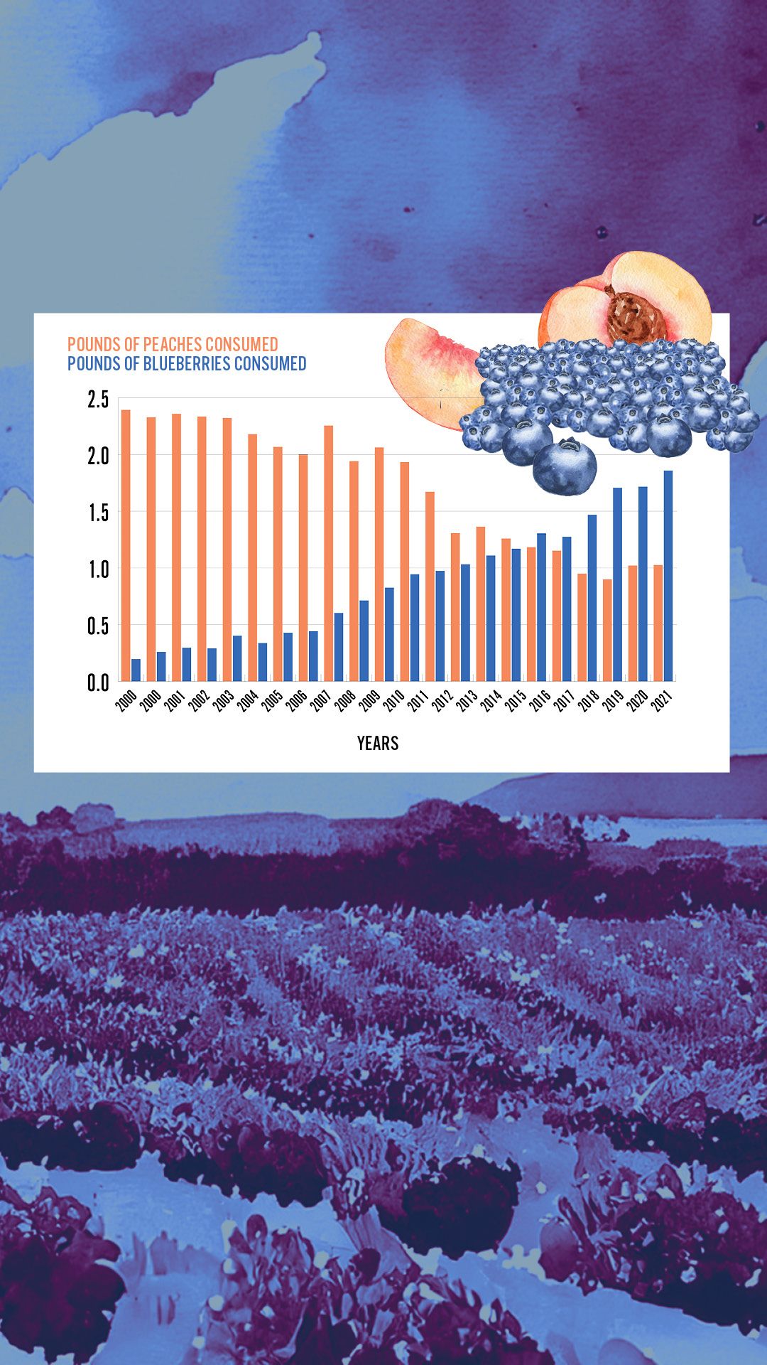 Blueberries on the rise