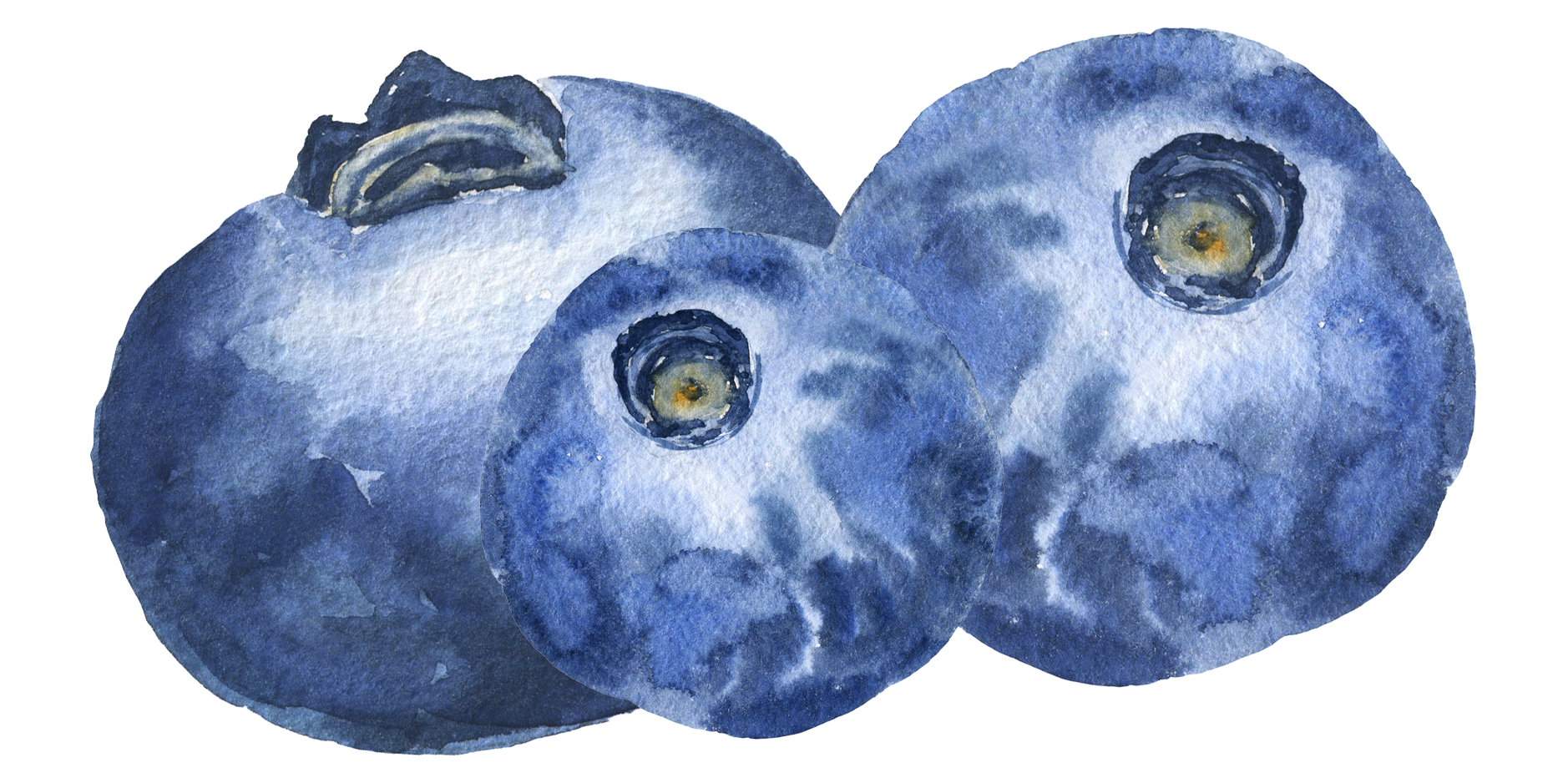 Blueberries