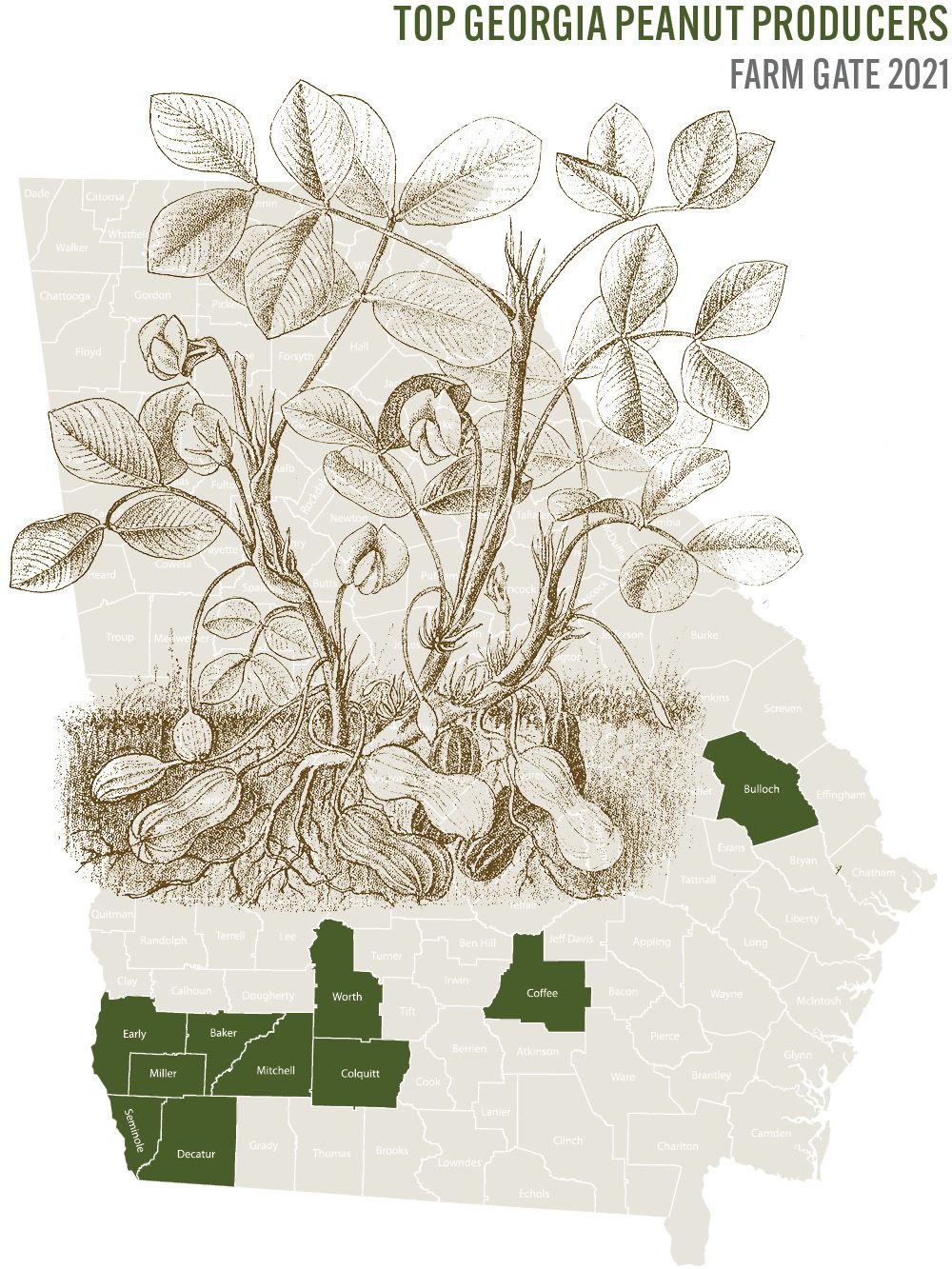A map of Georgia counties with the top peanut producers marked in green