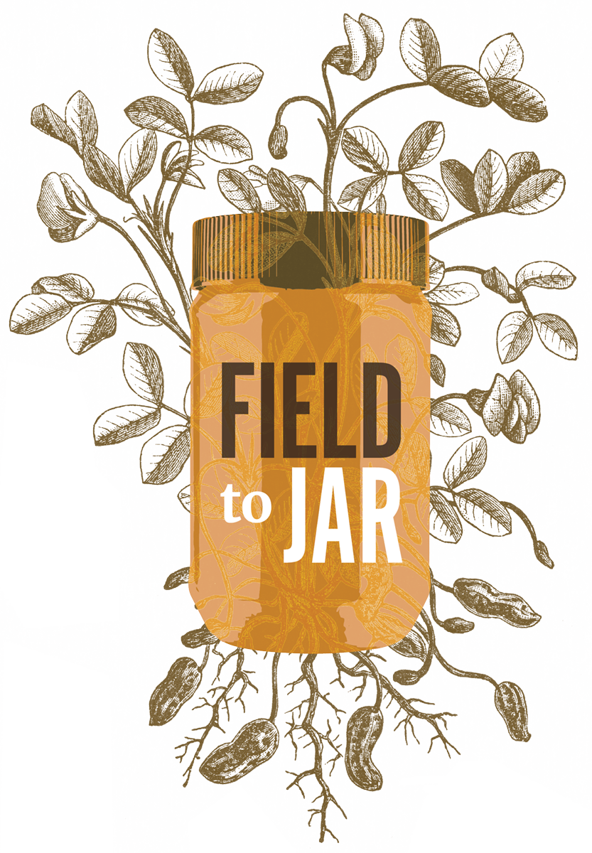 Illustration of a peanut butter jar with the words Field to Jar on it surrounded by black and white drawings of peanut vines.