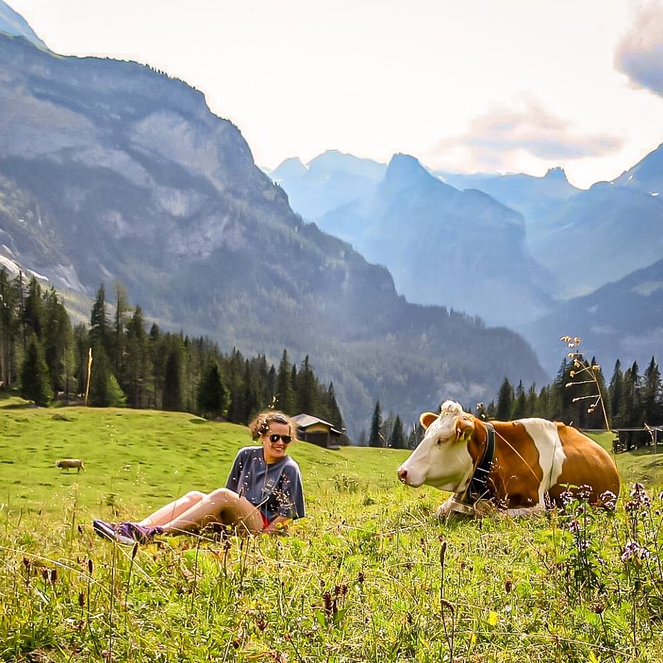 Lydia Griffin sits in a field next to a cow with the Swiss Alps in the background..