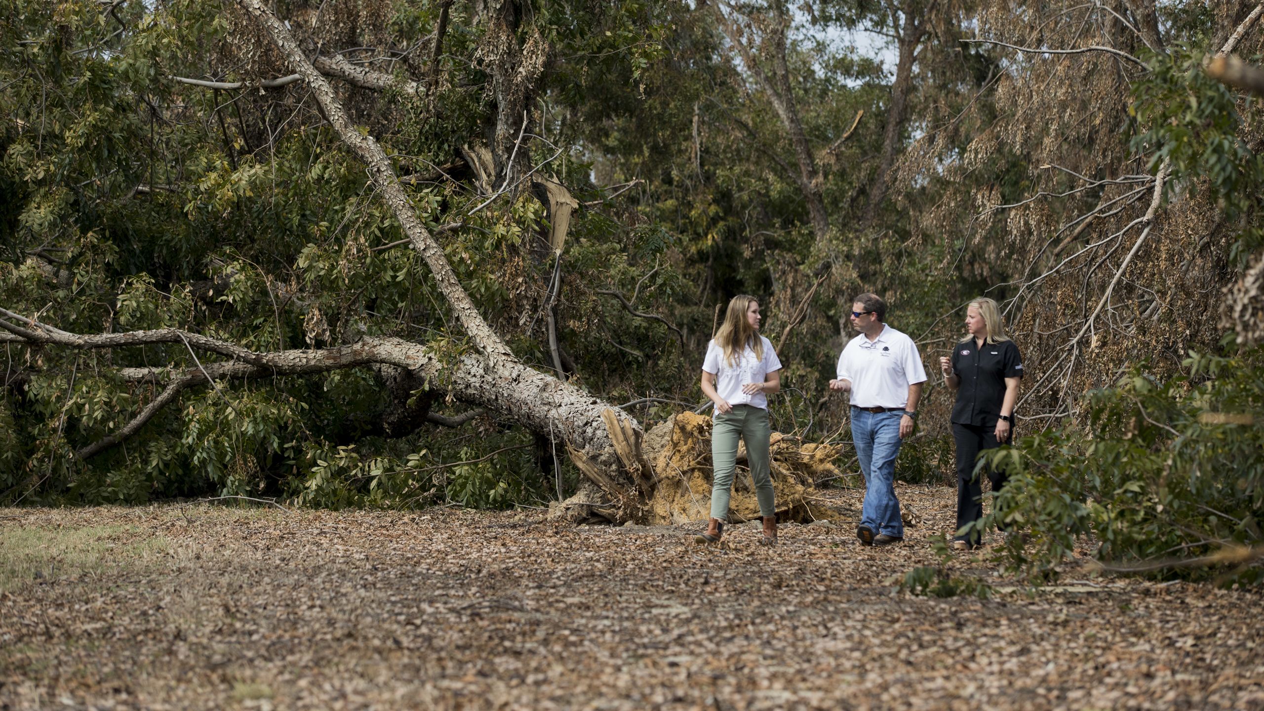 Nancy Bostick, Rob Cohen, and Lindsey Hayes walk past a blown-down tree