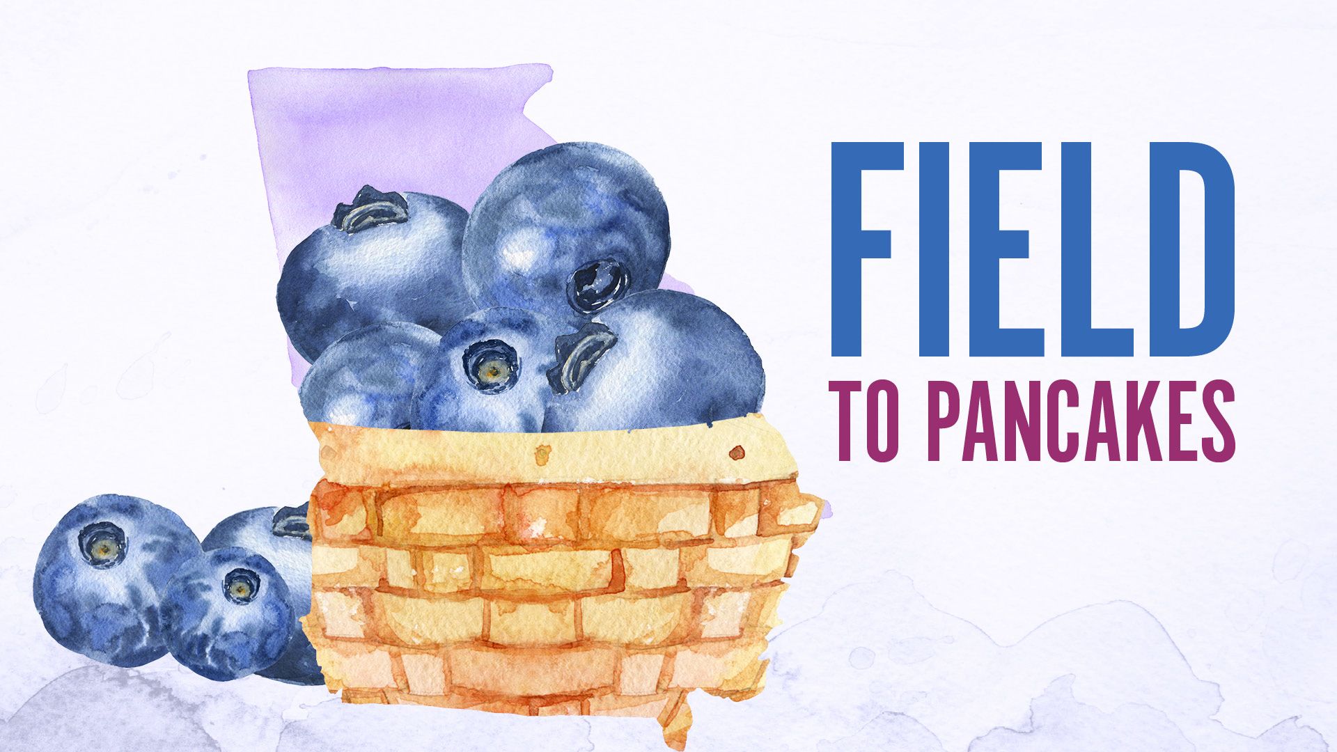 Field to Pancake Series