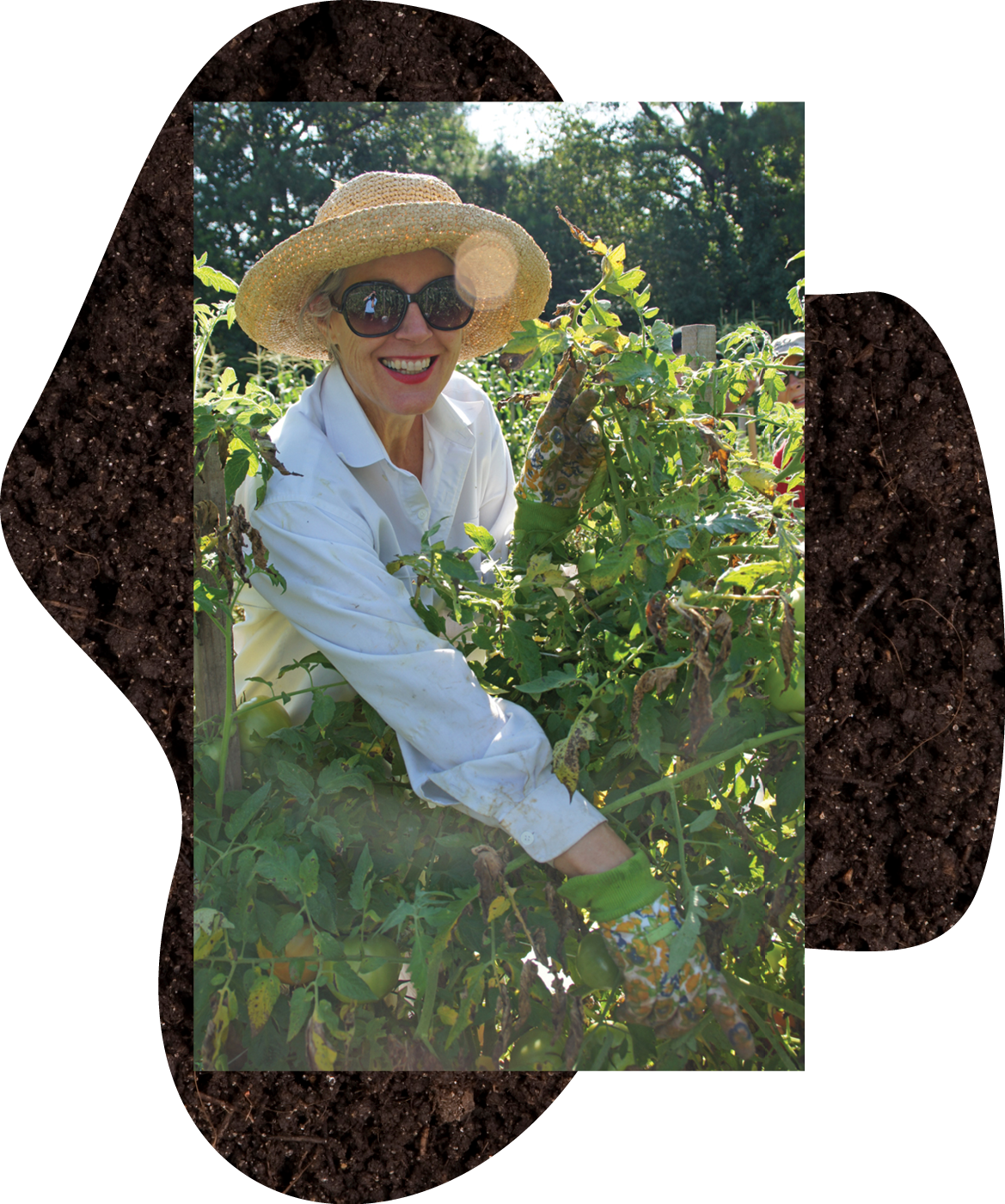 Sheri Dorn gardening