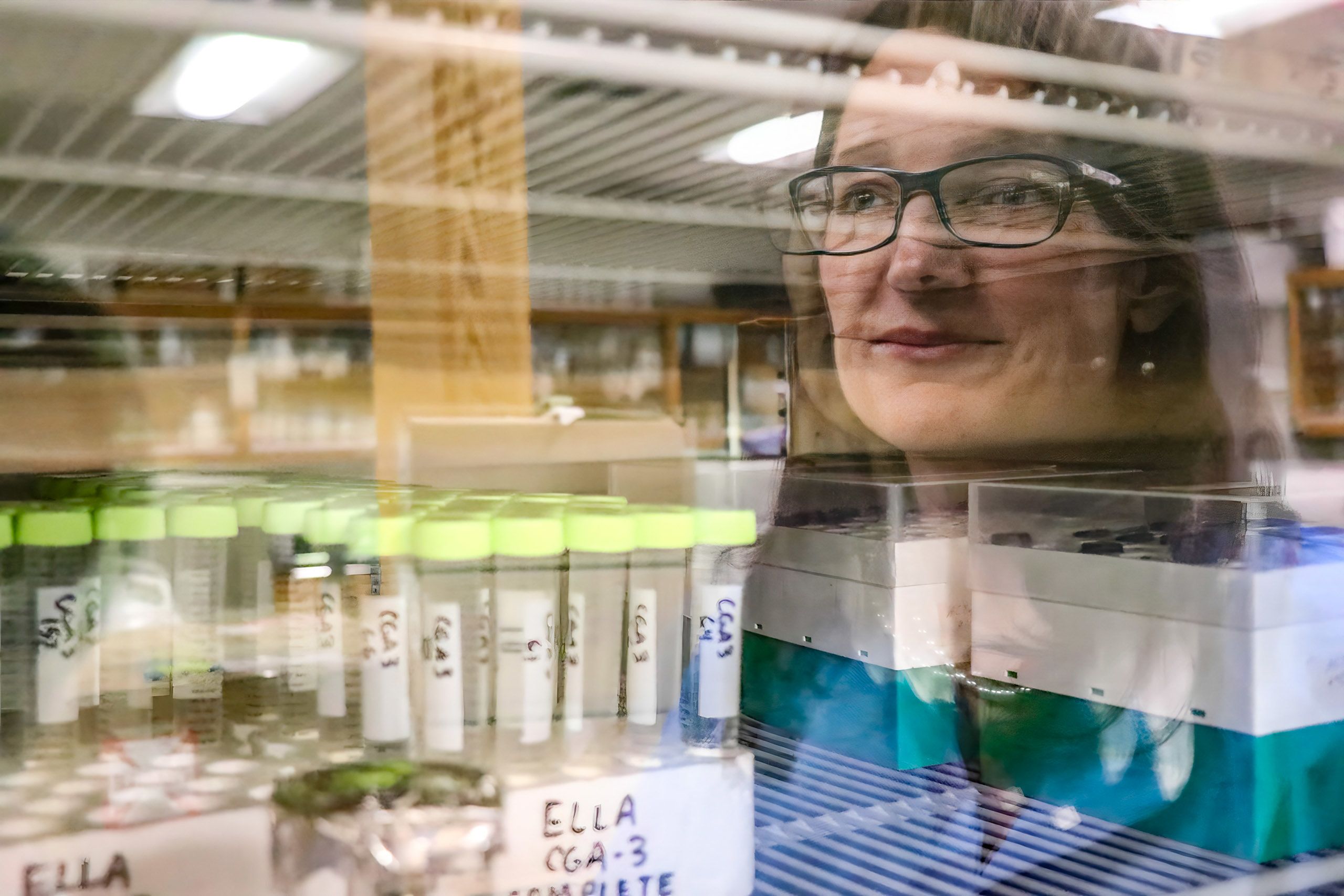 Color portrait photo Marin Brewer overlaid over a glass door in a lab containing samples