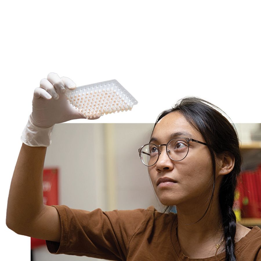 Shreen Pradhan wearing glasses and a brown shirt examines a transparent multi-well plate while holding it up to the light, with her hair tied in a braid.