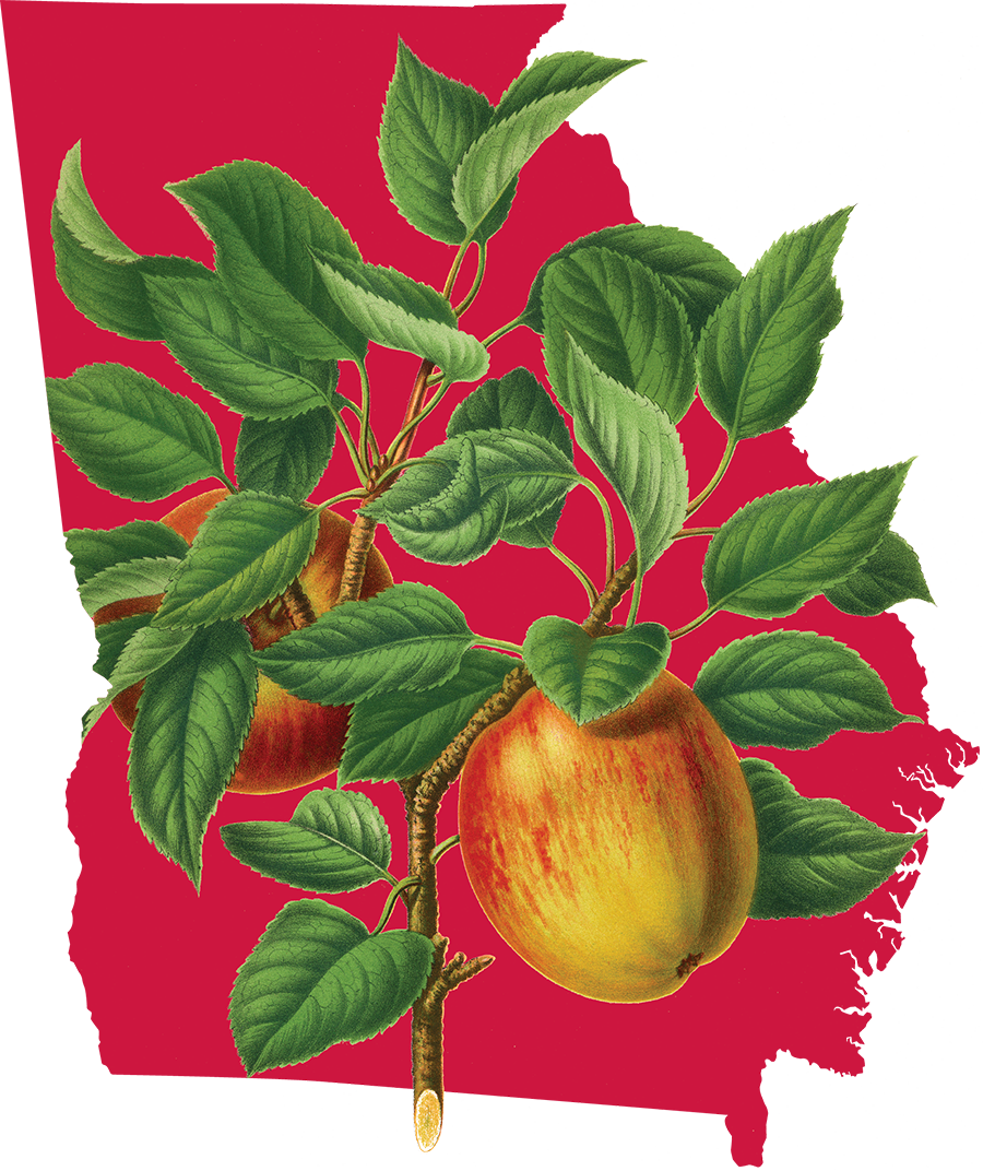 An illustration of a branch with ripe apples and green leaves, set against the shape of Georgia filled with a red background.