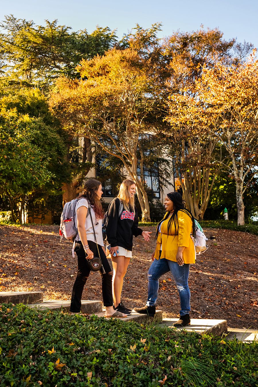 Three women chat and walk on steps surrounded by autumn foliage, dressed casually in a yellow jacket, black hoodie, and white top.