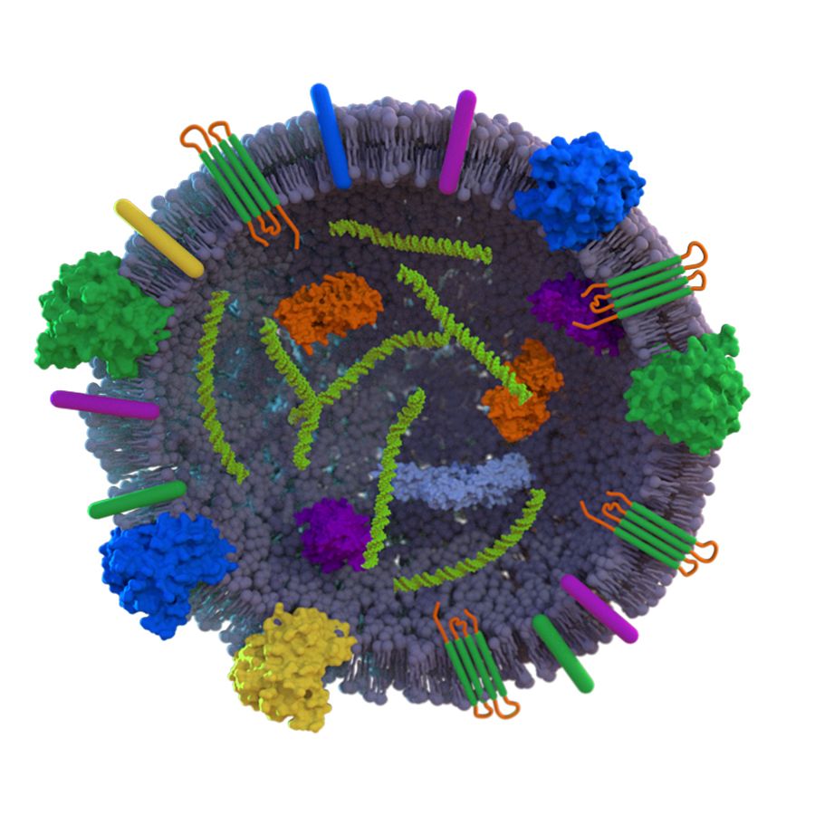 A scientific illustration of AB126, a neural exosome, depicts its complex structure with intricate protein components and a textured surface, highlighted in shades of blue, purple, and green.