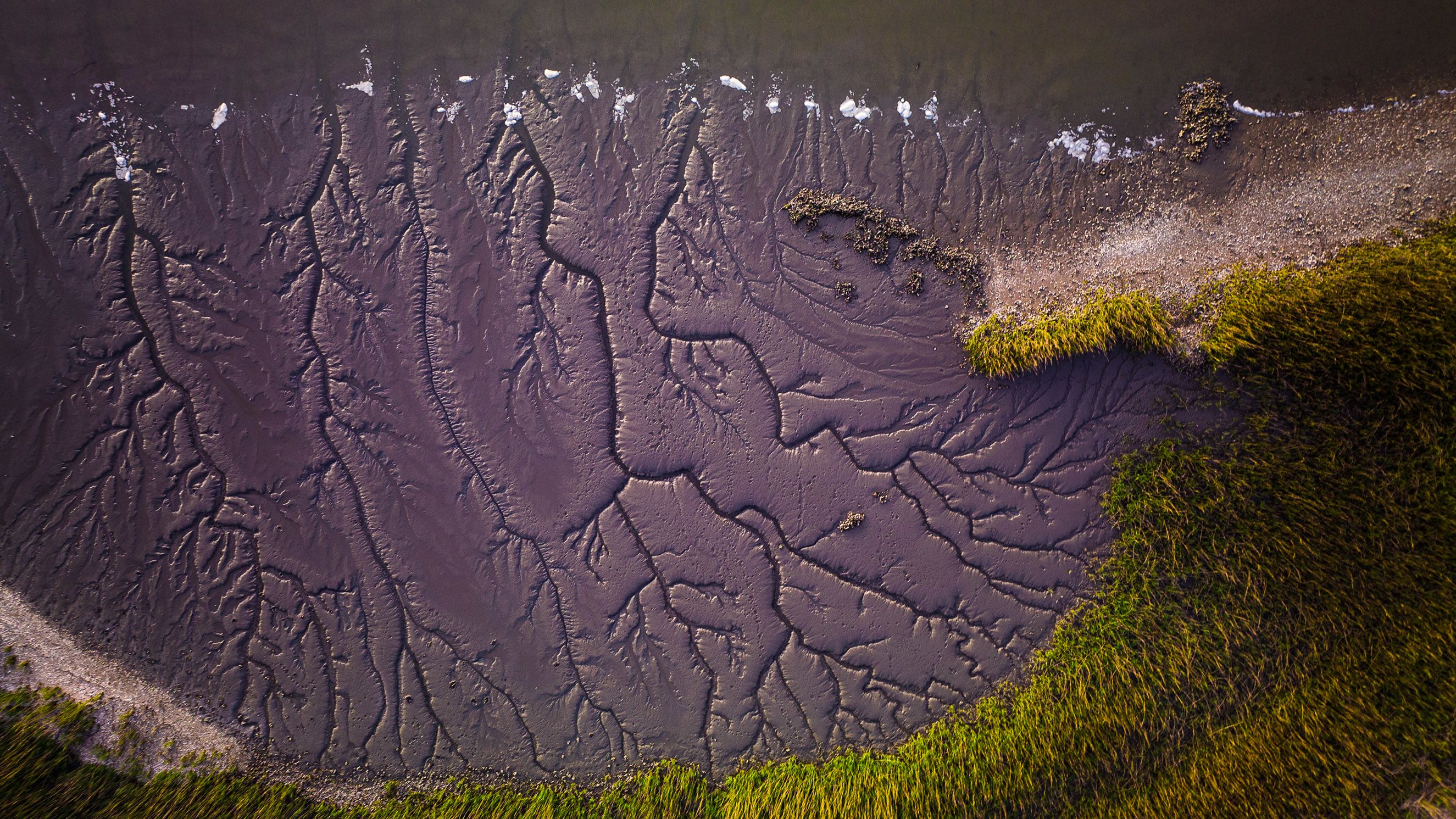 An aerial view of a salt marsh. The mud is dark grey and has vein-like cracks running through it. There is marsh grass around the edges of the image.