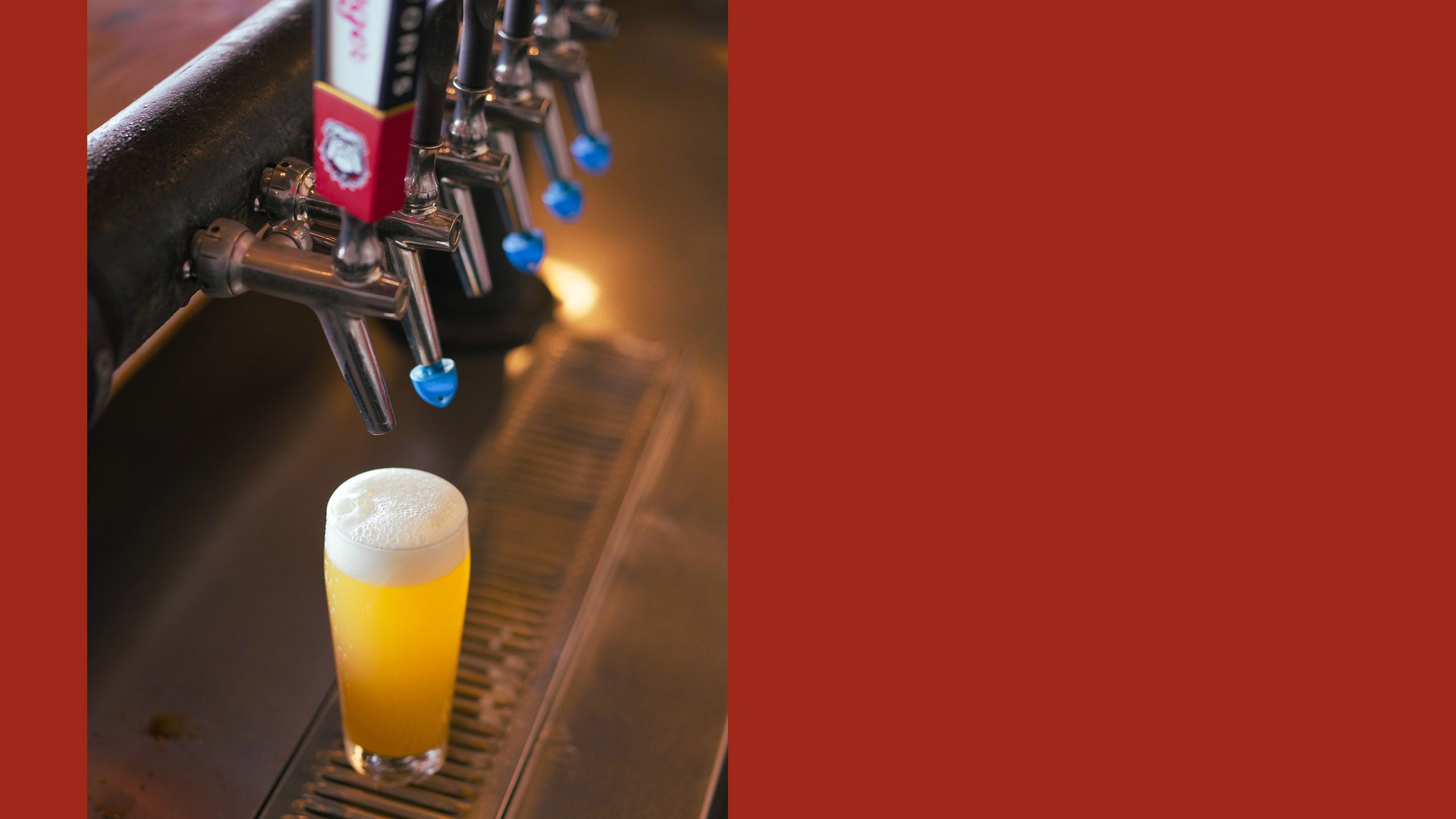 A beer tap station with a full beer glass underneath. One of the tap covers features the UGA logo.