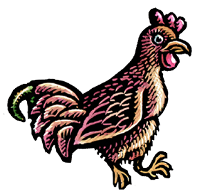Chicken