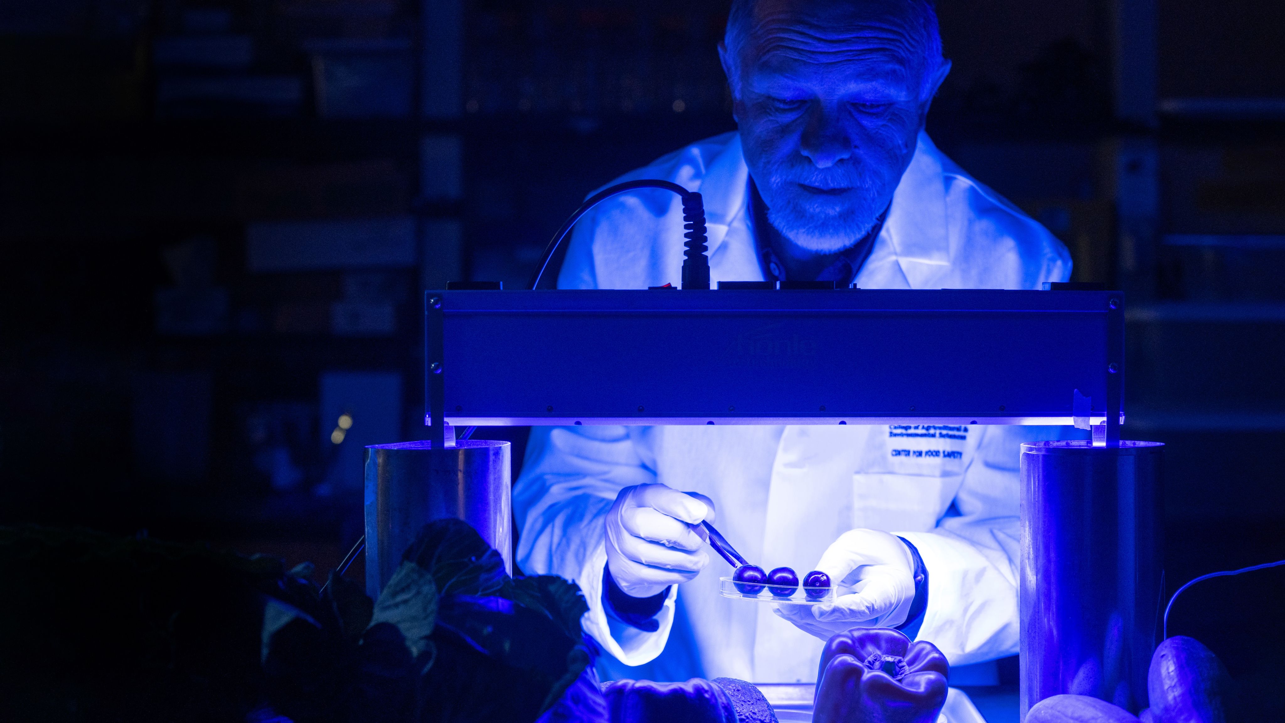 Francisco Diez holds cherries under a blue light.