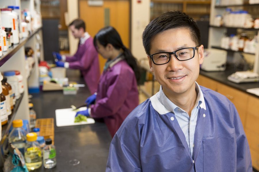 Xiangyu Deng stands in a lab in the University of Georgia Center for Food Safety while two lab workers in purple lab coats perform tasks in the background.