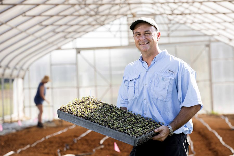 Tim Coolong stands in a greenhouse, holding up a pallet of sprouting plants.